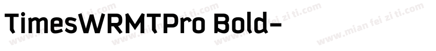 TimesWRMTPro Bold字体转换